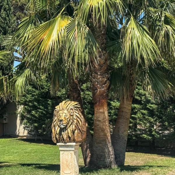Le lion de la Villa Alizée veille sur la piscine